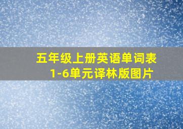 五年级上册英语单词表1-6单元译林版图片