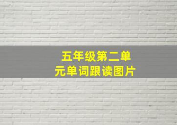 五年级第二单元单词跟读图片