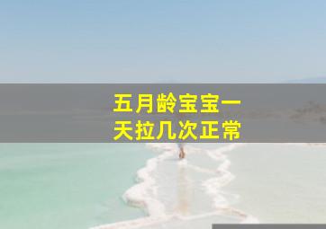 五月龄宝宝一天拉几次正常