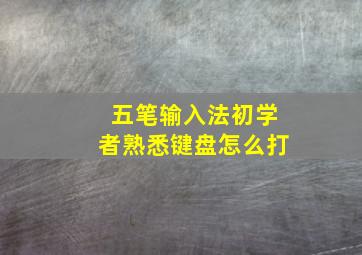 五笔输入法初学者熟悉键盘怎么打