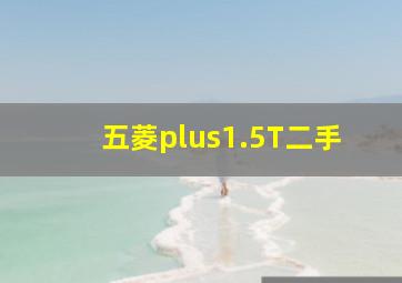 五菱plus1.5T二手