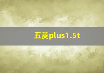 五菱plus1.5t