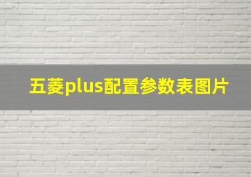 五菱plus配置参数表图片