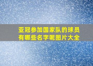 亚冠参加国家队的球员有哪些名字呢图片大全