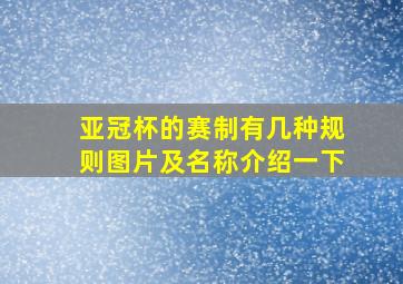 亚冠杯的赛制有几种规则图片及名称介绍一下