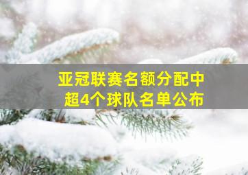 亚冠联赛名额分配中超4个球队名单公布