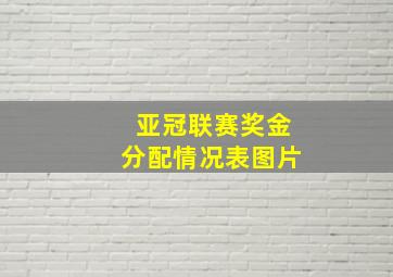 亚冠联赛奖金分配情况表图片