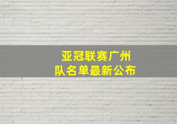 亚冠联赛广州队名单最新公布