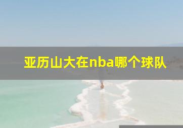 亚历山大在nba哪个球队