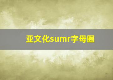 亚文化sumr字母圈