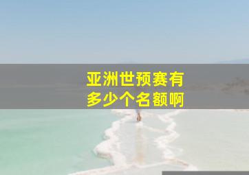 亚洲世预赛有多少个名额啊