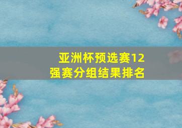 亚洲杯预选赛12强赛分组结果排名