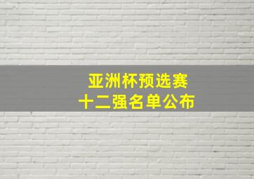 亚洲杯预选赛十二强名单公布