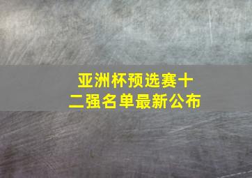 亚洲杯预选赛十二强名单最新公布