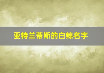 亚特兰蒂斯的白鲸名字