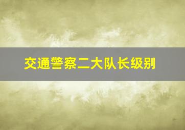 交通警察二大队长级别