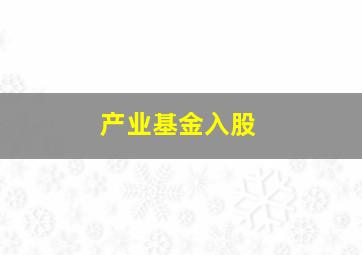 产业基金入股