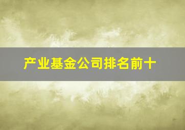 产业基金公司排名前十