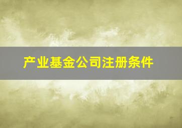 产业基金公司注册条件