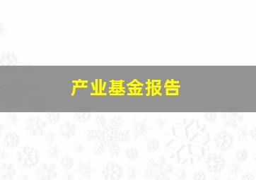 产业基金报告