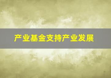 产业基金支持产业发展