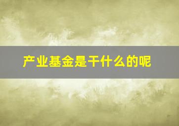 产业基金是干什么的呢