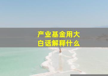 产业基金用大白话解释什么