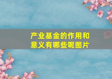 产业基金的作用和意义有哪些呢图片