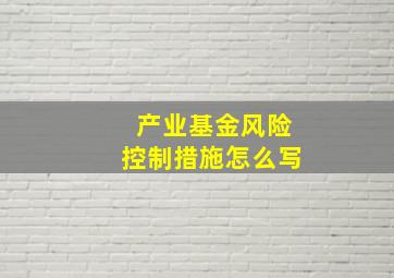 产业基金风险控制措施怎么写