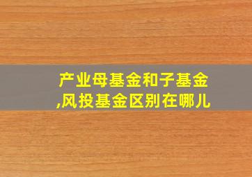 产业母基金和子基金,风投基金区别在哪儿