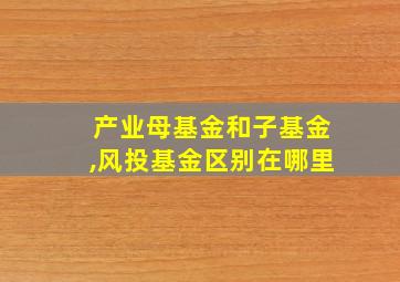 产业母基金和子基金,风投基金区别在哪里