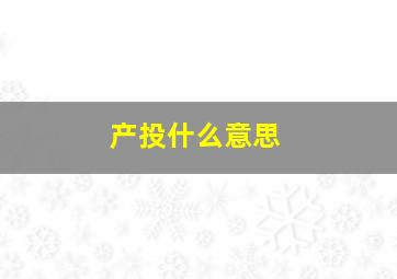 产投什么意思