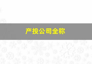 产投公司全称