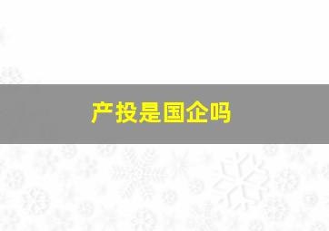 产投是国企吗