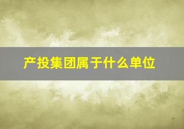 产投集团属于什么单位