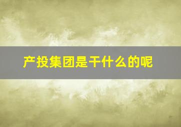 产投集团是干什么的呢