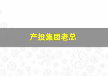 产投集团老总