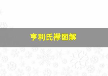 亨利氏襻图解