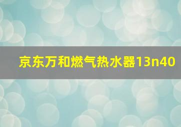 京东万和燃气热水器13n40