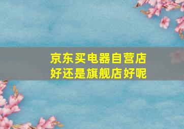 京东买电器自营店好还是旗舰店好呢