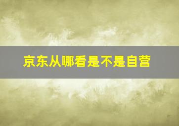 京东从哪看是不是自营