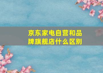 京东家电自营和品牌旗舰店什么区别