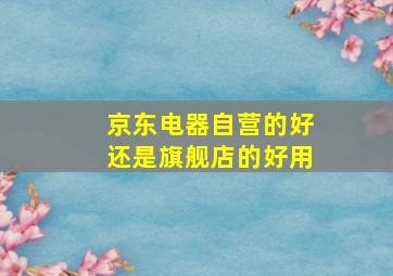 京东电器自营的好还是旗舰店的好用