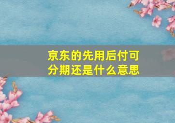 京东的先用后付可分期还是什么意思