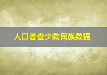 人口普查少数民族数据