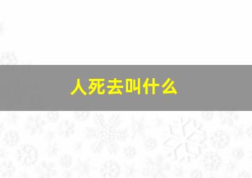 人死去叫什么