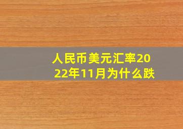 人民币美元汇率2022年11月为什么跌