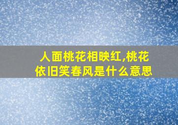 人面桃花相映红,桃花依旧笑春风是什么意思