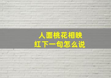 人面桃花相映红下一句怎么说