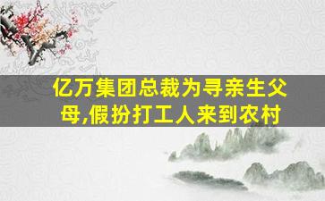 亿万集团总裁为寻亲生父母,假扮打工人来到农村